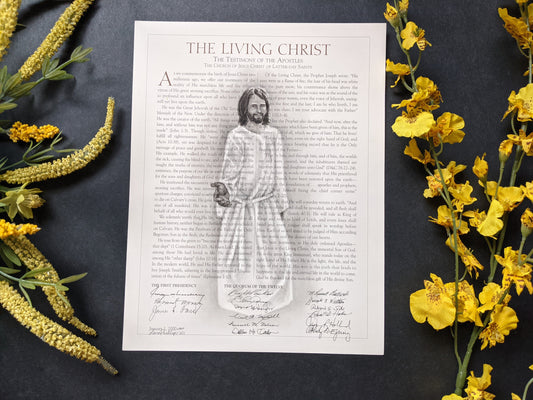 ORIGINAL - Living Christ #1064